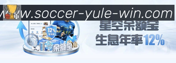 未来规划